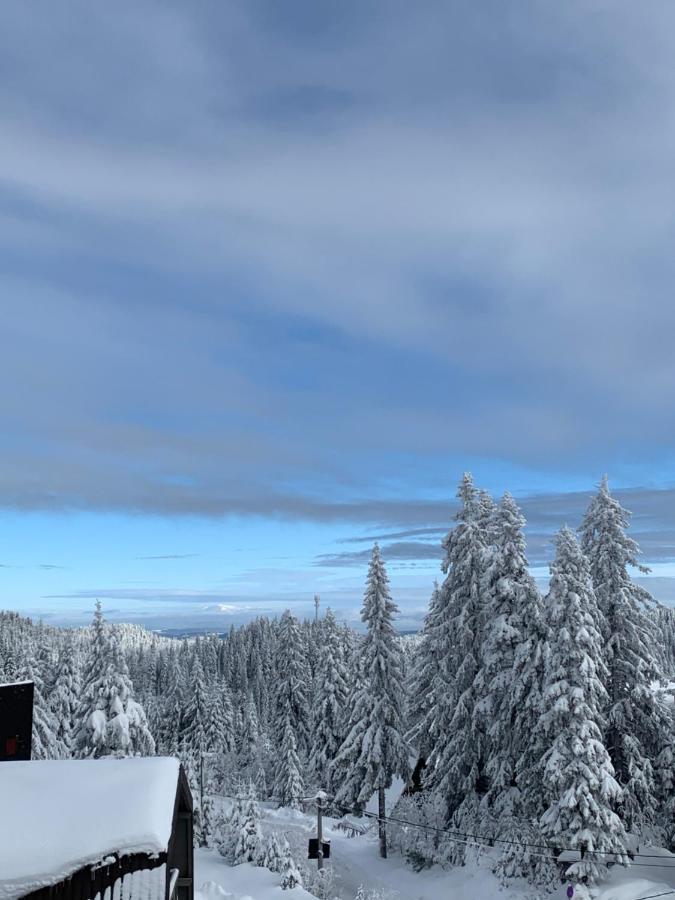 Forresto Apartmani Jahorina Exteriér fotografie